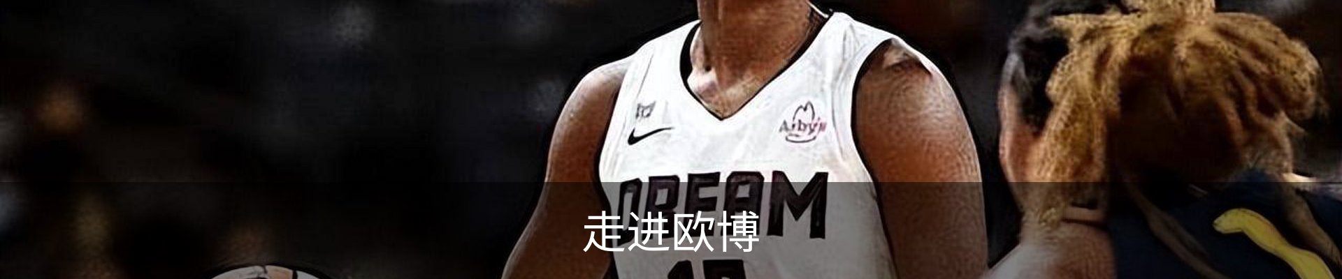 走进欧博
